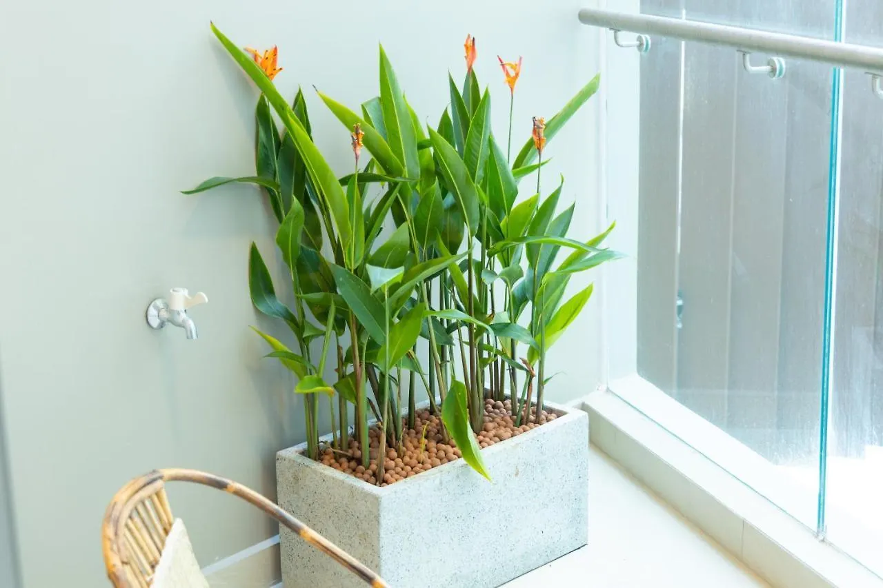Appartement Anest The Song Vung Tau 0*,